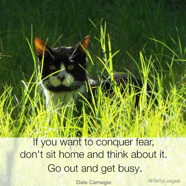 If you want to conquer fear