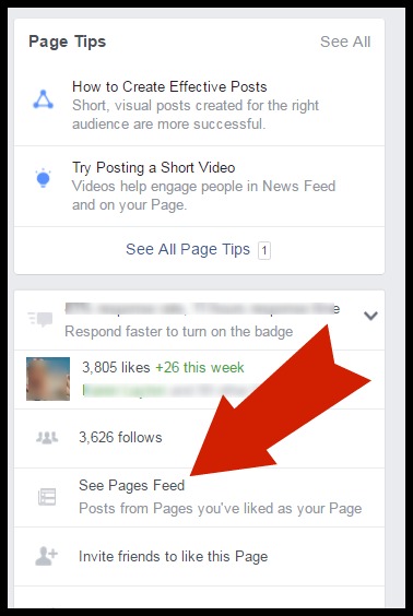 Pages Feed on Facebook 