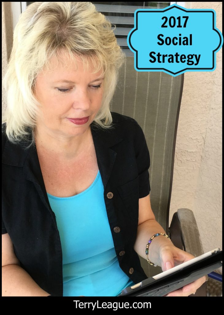 Your 2017 Social Media Strategy - Learn more today on how to get a custom strategy for your small business